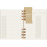 Еженедельник MOLESKINE SPIRAL XL DHSPG3712MWH4Y23 серый